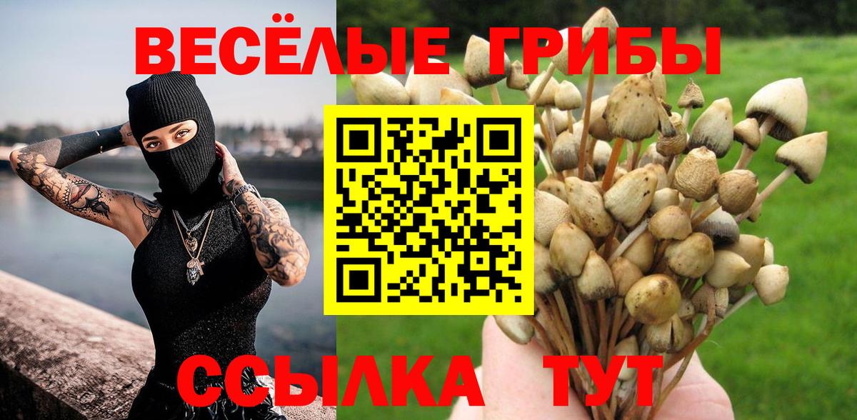 Советск  Галлюциногенные грибы Psilocybe  Вход с VPN 