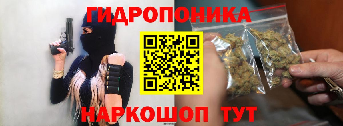 Каннабис индика Советск
